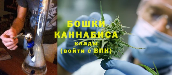 PSILOCYBIN Лагань