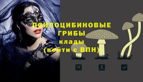 гидропоника Кулебаки