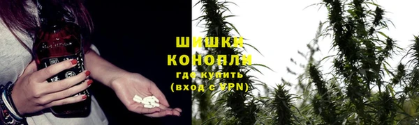 гидропоника Кулебаки