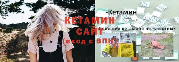 сатива Ладушкин