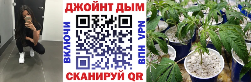 Бошки Шишки конопля  где купить наркоту  Курганинск 